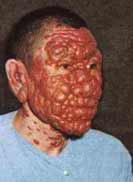 Taxi-Driver Bernard Freckle found the document