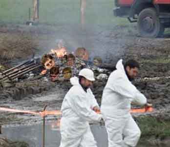 Entire heard of Elton Johns Burn